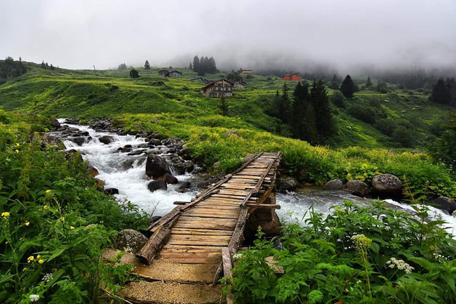 Cennete Yolculuk: Rize