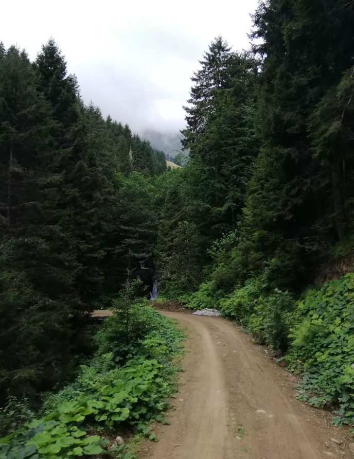Saklı Güzellikleriyle Trabzon Seyahat Rehberi