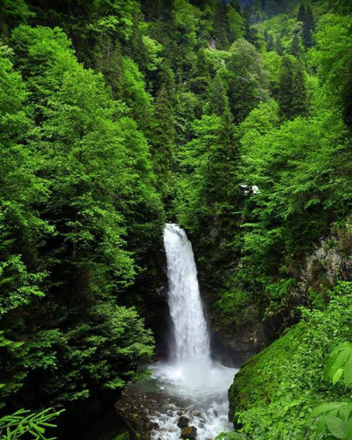 Cennete Yolculuk: Rize