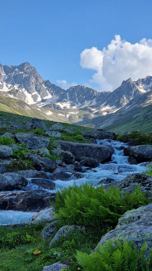 Cennete Yolculuk: Rize