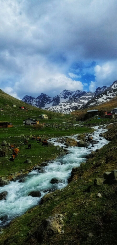 Cennete Yolculuk: Rize