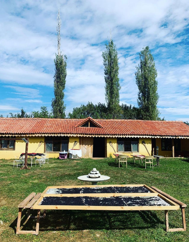 Türkiye'nin Seyahat Etmeye Değer En İyi Restoranları