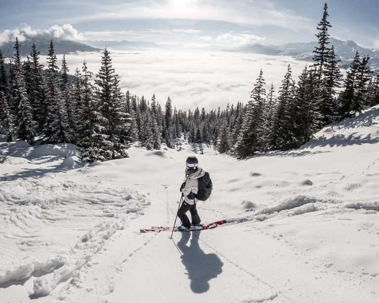 Karla kaplı ormanlık dağ rotasında backcountry kayak yapan bir kayakçı ve etkileyici kış manzarası.