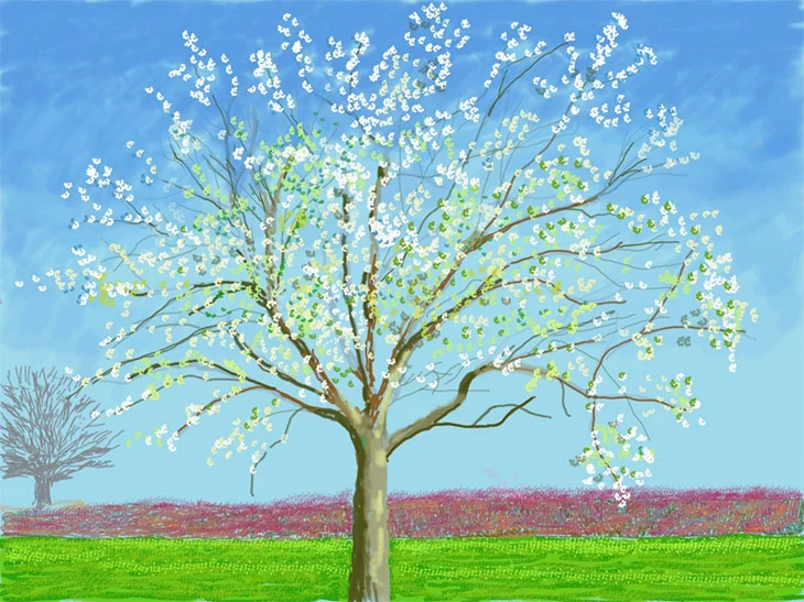 David Hockney tarzında canlı renklerle yapılmış dijital bir resimde, berrak mavi gökyüzünün altında yemyeşil bir çayır ve mor renkli fundalıkların önünde, bembeyaz ve taze açık yeşil tomurcuklarla bezeli, baharın uyanışını müjdeleyen görkemli bir ağaç, sol kenarda ise budanmış gibi duran çıplak bir ağaç yer alıyor.