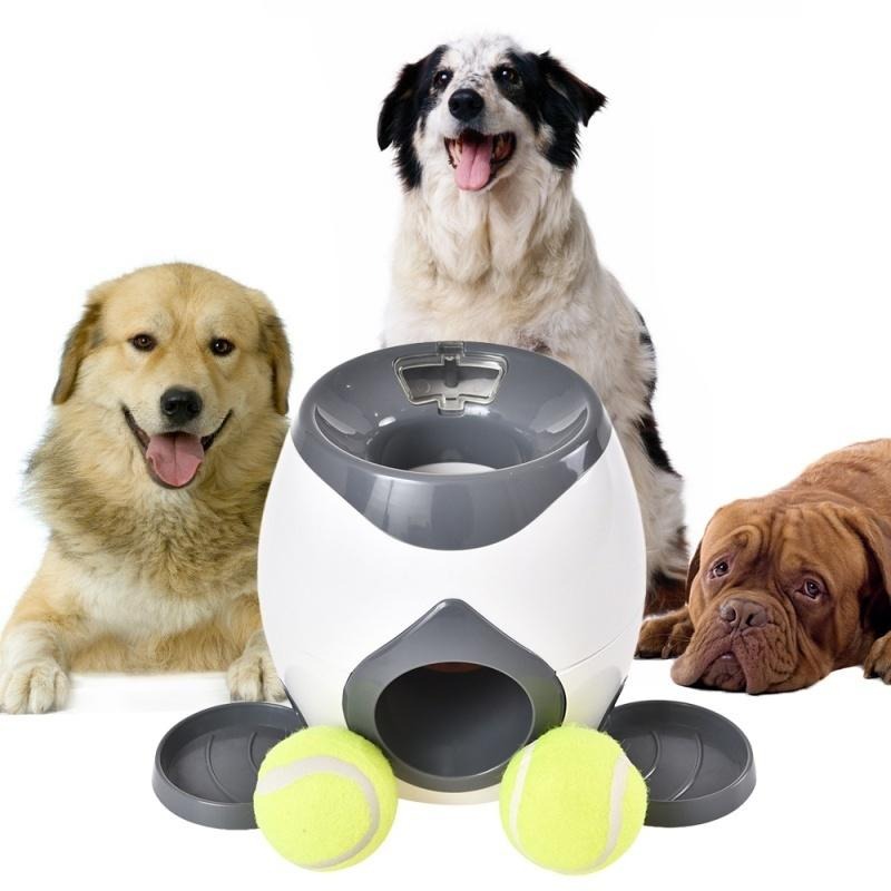 Köpeğinizi Mutlu Edecek Oyuncaklar