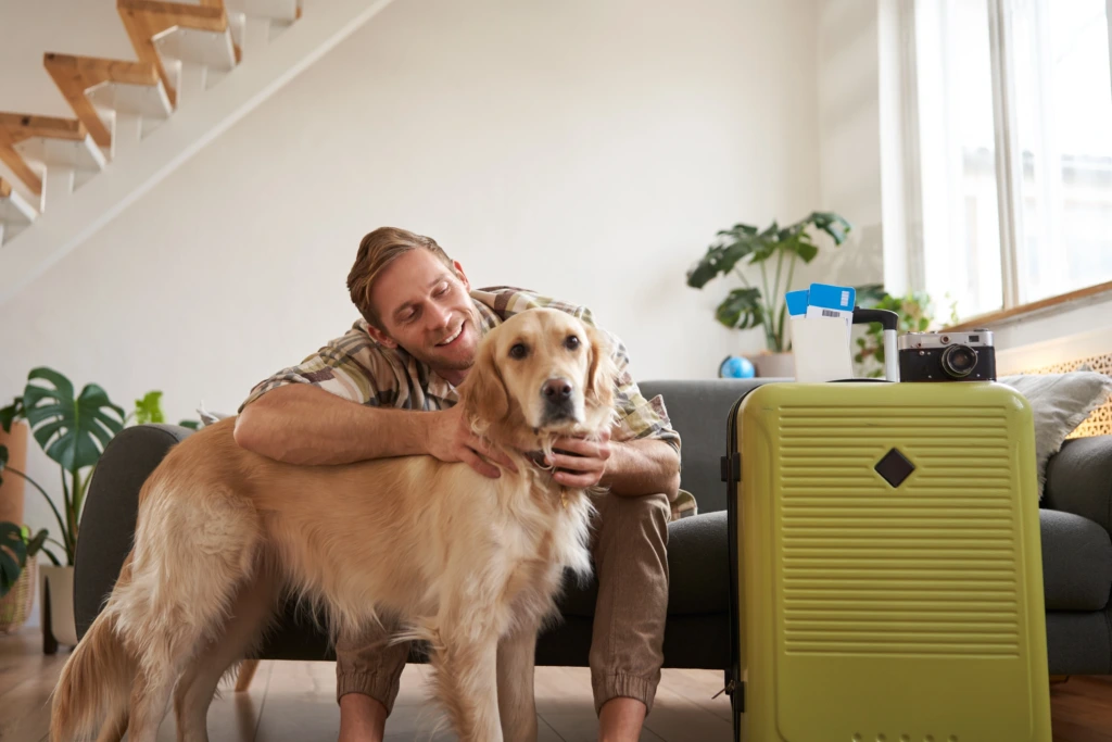 Evde valiz hazırlığı yapan adam, koltuğun önünde Golden Retriever cinsi köpeğini severken evcil hayvanla seyahat planı yapıyor.