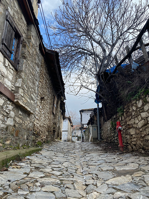 Şirince'nin dar ve tarihi taş sokaklarından birinde, sağda kuru dallı bir ağacın ve kırmızı bir yangın musluğunun eşlik ettiği, sol tarafta eski ahşap pencereli bir taş evin bulunduğu, zamanın yavaşladığı bu Ege köyünün huzurlu atmosferi yansıyor.