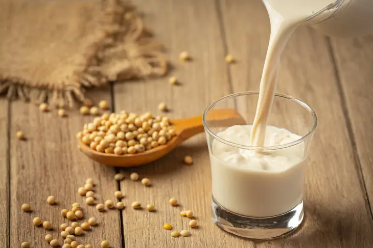 Vegan Süt Hakkında Her Şey