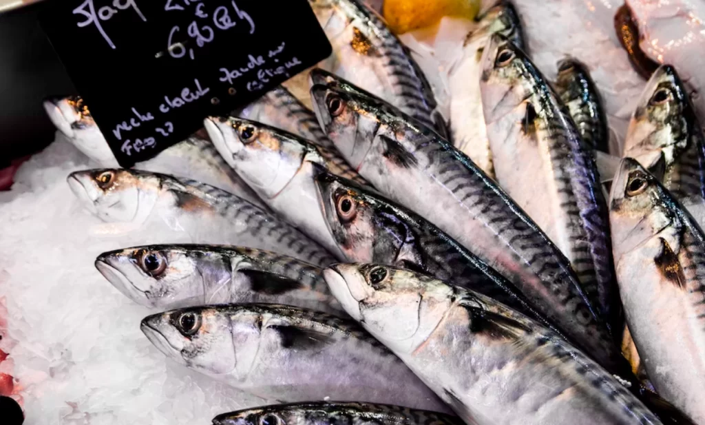 Omega 3 ve Omega 6 Hakkında Bilinmesi Gerekenler