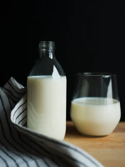 Vegan Süt Hakkında Her Şey