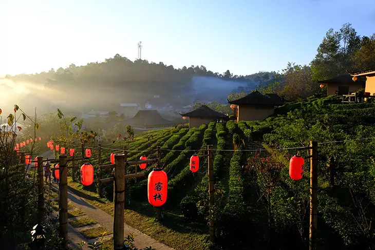 Mae Hong Son Loop rotasında tropik ormanlar ve dağ manzarası eşliğinde motosiklet sürüşü