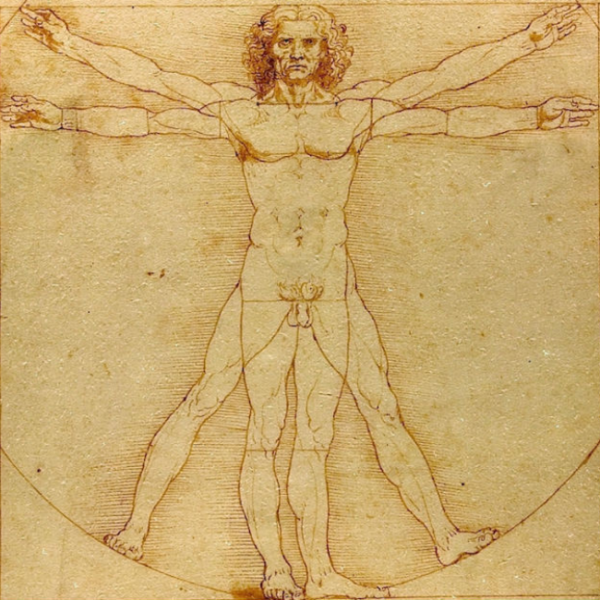 İnsan anatomisi ve ideal oranlar üzerine Leonardo da Vinci'nin önemli eserlerinden biri olan Vitruvian Man, kolları ve bacakları uzatılmış iki farklı pozisyonda, bir daire ve kare içine çizilmiş çıplak bir erkek figürünü detaylıca gösteriyor.