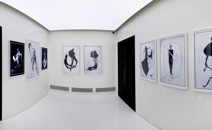 V&A’in Yeni Sergisi Tim Walker: Wonderful Things