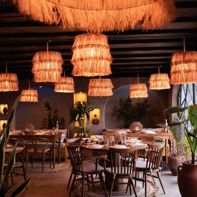 Samsun'un beğenilen mekanlarından Galya Restaurant'ın bohem tarzıyla dikkat çeken iç mekanında, tavandan sarkan katmanlı hasır avizelerden yayılan sıcak turuncu ışıklar, ahşap mobilyalar ve bol yeşil bitkilerle rustik ama şık bir ambiyans sunuluyor.