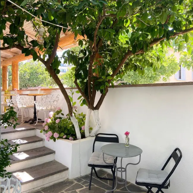 Cunda, Ayvalık'ın En İyi Restoran ve Otelleri