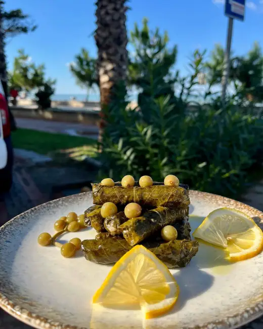 Samsun'un deniz kenarındaki gözde mekanlarından birinde, özenle sarılmış yeşil yaprak sarmaların taze limon dilimleri ve küçük yeşil üzümlerle modern ve şık bir sunumla masadaki davetkar görüntüsü, şehrin beğenilen restoranlarının lezzetlerini yansıtıyor.