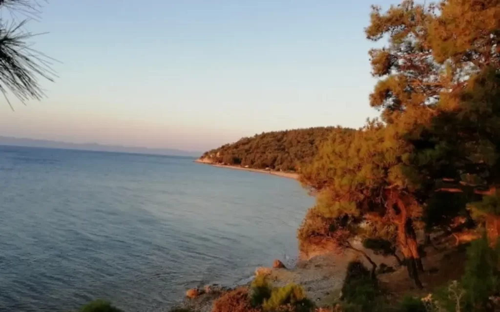 Kamp Yaparken İhtiyacınız Olan Her Şey