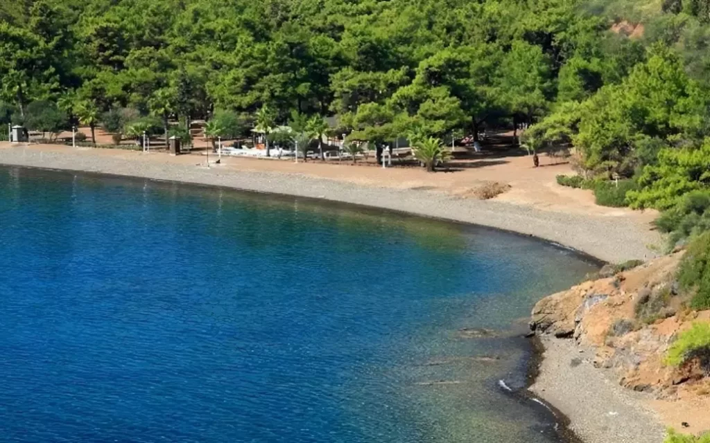 Kamp Yaparken İhtiyacınız Olan Her Şey