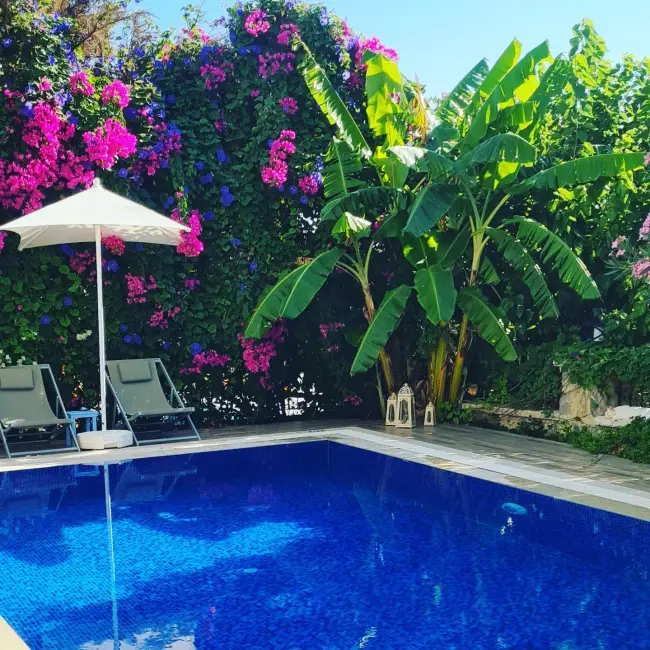 Aria Doria Otel'in yemyeşil bahçesinde, pembe begonviller ve muz ağaçlarıyla çevrili, güneş şemsiyeli şezlongların eşlik ettiği masmavi yüzme havuzu, Datça'nın huzurlu atmosferini ve Akdeniz'in dinginliğini yansıtıyor.