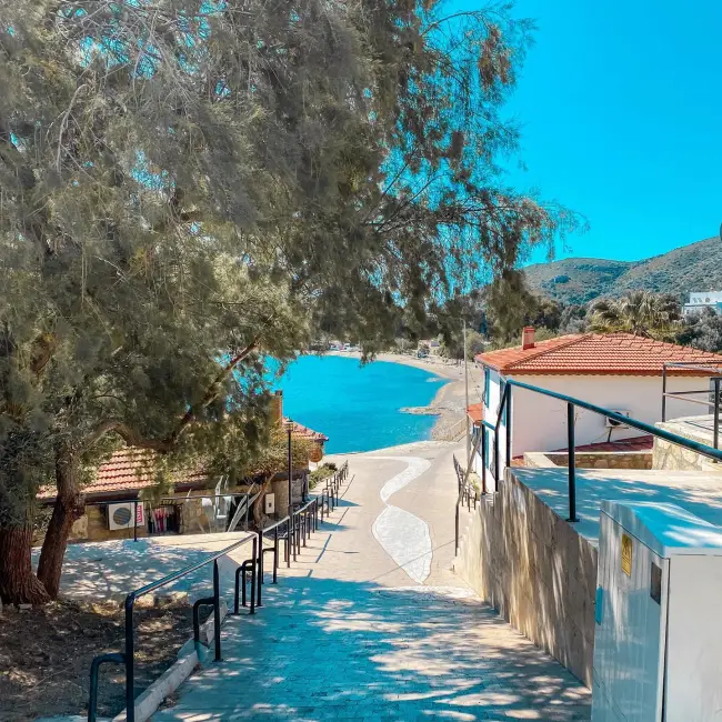 Datça Taşlık Plajı'na doğru kıvrımlı desenli taş yoldan inen manzarada, yemyeşil ağaçların gölgeleri altında pırıl pırıl turkuaz deniz ve sakin sahil şeridi, tipik Datça evleriyle çevrili doğal bir Ege ile Akdeniz birleşme noktası atmosferi sunuyor.
