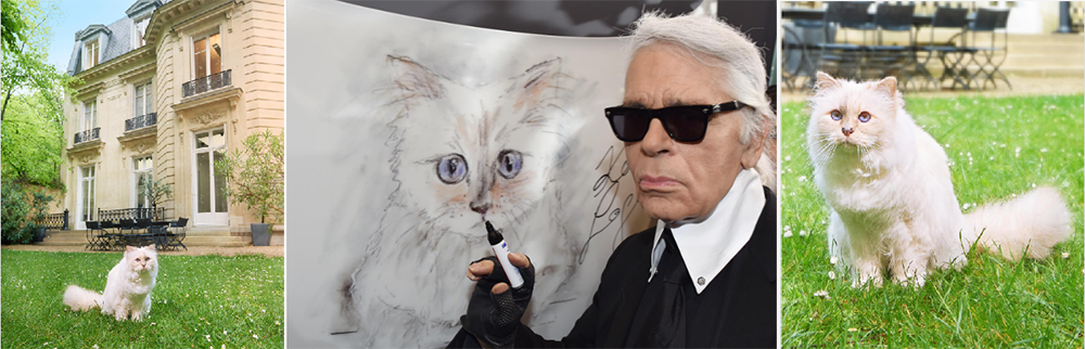 Efsanevi Tasarımcı Karl Lagerfeld ve Unutulmazları