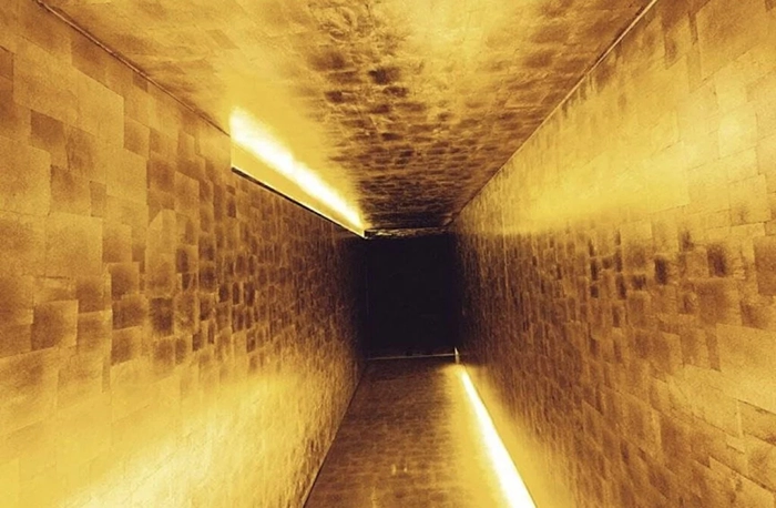 Dar, tavanı ve duvarları ışıkla parıldayan altın rengi, dokulu panellerle kaplı, lüks ve şık bir atmosfere sahip, ziyaretçileri unutulmaz bir deneyime davet eden çağdaş bir Paris restoranının gizemli girişi veya koridoru, şehrin en iyi restoranlarından birinin estetik anlayışını yansıtıyor.