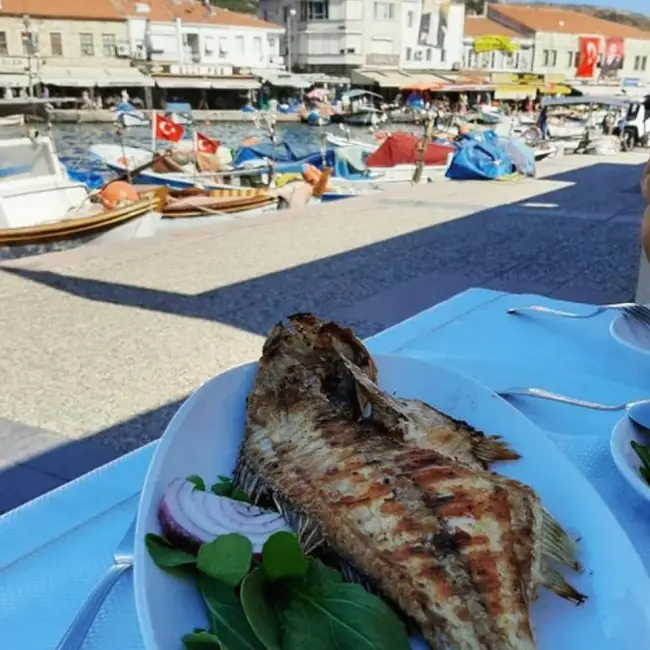 Beyaz masa örtülü bir masada, Foça'nın meşhur Ege mutfağının vazgeçilmezi ızgara bütün balık, yanında mor soğan ve roka ile servis edilmişken, güneşli arka planda hareketli liman, bağlı balıkçı tekneleri ve Foça'nın şirin sahil evleri bu lezzetli yemeğin keyifli atmosferini tamamlıyor.
