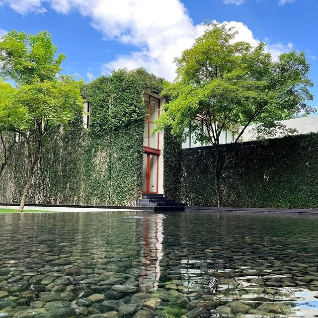 Anantara Chiang Mai Resort'un yemyeşil bitki örtüsüyle sarılı modern yapısının, berrak suyla dolu ve tabanında doğal taşların görüldüğü yansımalı havuzla bütünleştiği huzurlu görüntüsü.