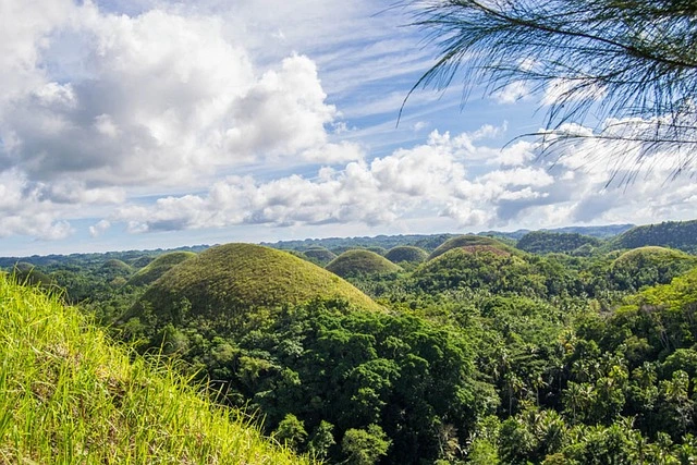 Filipinler'in Bohol adasında yer alan, balayı rotaları arasında doğa tutkunları için eşsiz bir seçenek sunan Çikolata Tepeleri, tepeden bakıldığında yemyeşil otlarla kaplı kubbe şeklindeki sayısız tepeciği ve çevresindeki gür tropikal bitki örtüsüyle büyüleyici bir manzara sergiliyor; en güzel balayı rotaları için ilham veren bir kare.
