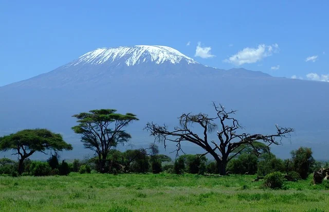 Afrika'nın çatısı olarak bilinen Kilimanjaro Dağı'nın karla kaplı görkemli zirvesi, ön plandaki yemyeşil Afrika savanı ve seyrek akasya ağaçları üzerinden parıldayan masmavi bir gökyüzünün altında yükseliyor; macera dolu bir balayı rotası arayan çiftler için unutulmaz bir deneyim vadediyor; en güzel balayı rotaları için ilham veren bir kare.
