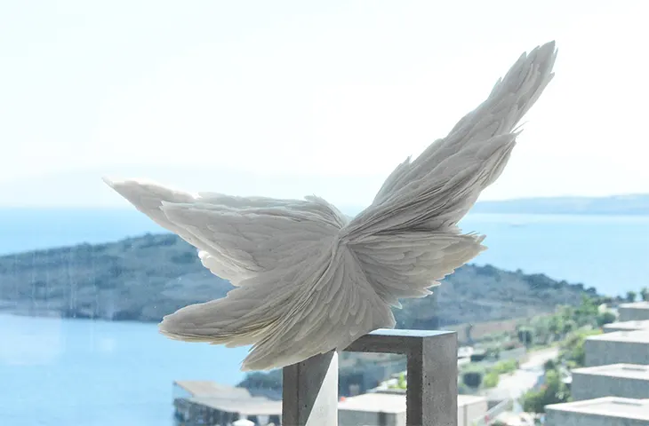 Bodrum 