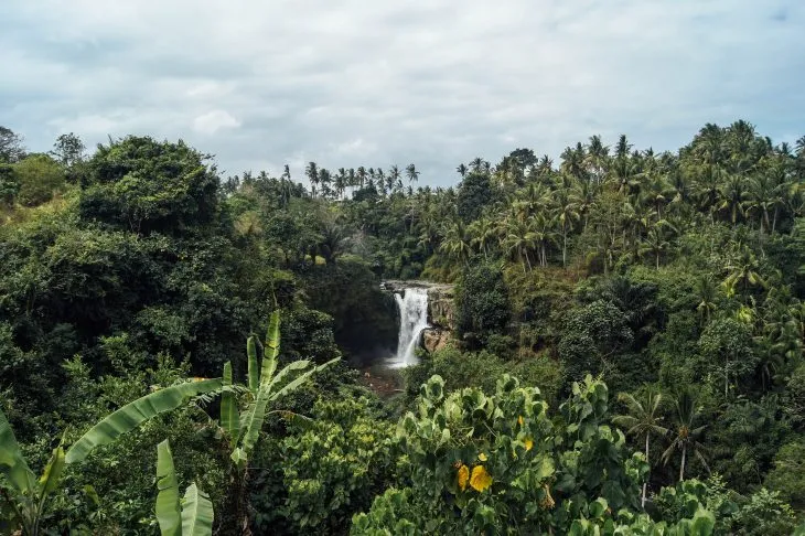 Bali’de Ubud yakınlarında tropik ormanların arasında yer alan Tegenungan Şelalesi’nin uzaktan manzarası
