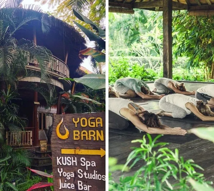 Bali Ubud’daki The Yoga Barn merkezinde tropik doğa içinde yoga yapan katılımcılar ve ahşap yapılı stüdyonun dış cephesi