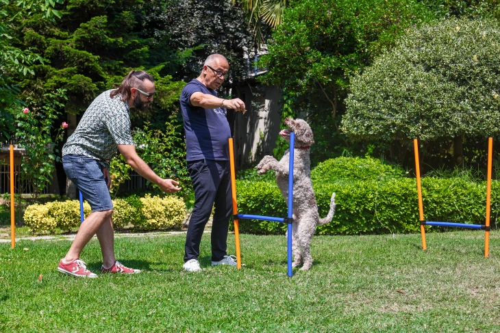 OGGUSTO x Farmina İş Birliğinde Patili Çocuklar Buluştu