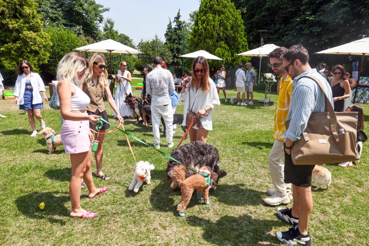 OGGUSTO x Farmina İş Birliğinde Patili Çocuklar Buluştu