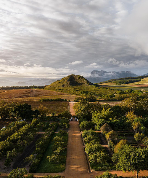 Cape Town'da İyi Yaşamın Sırlarının İzinde