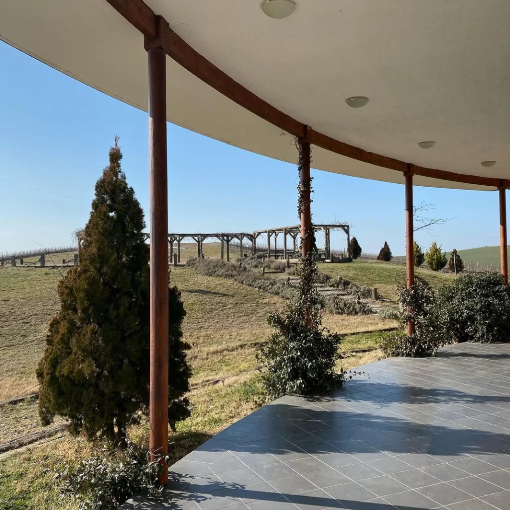 Kavisli tavanlı ve ahşap direkli geniş bir terastan görünen manzarada, koyu renkli fayans zemin ön planda yer alırken, arka planda hafif eğimli arazide sıralanmış lavanta benzeri bitkiler ve uzakta ahşap bir pergola görülmektedir. Mavi gökyüzünün altında uzanan bu doğal güzellik, bir şato veya bağ evinin huzurlu ortamını yansıtmaktadır.