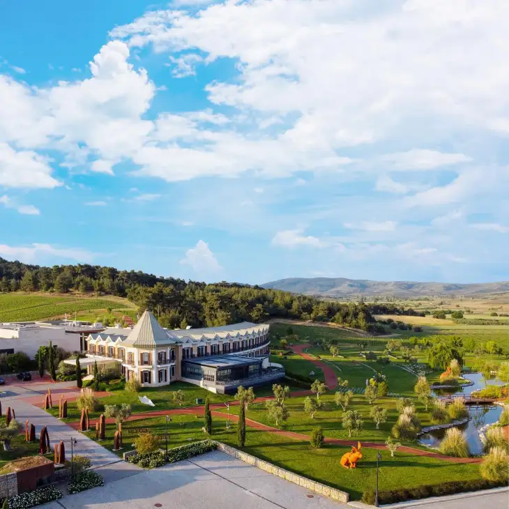 Yeşil tepeler, yemyeşil üzüm bağları ve ormanlık alanlarla çevrili, modern mimarili ve kavisli hatlara sahip Hotel Caeli'nin geniş arazisinde zeytin ağaçları, kırmızı yürüyüş yolları, bir su yolu ve turuncu tavşan heykeli bulunan özenli bahçeler, açık mavi gökyüzü altında uzanıyor.
