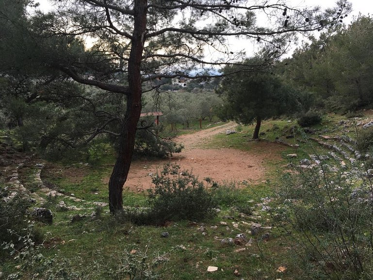 Panionion antik alanında, çam ve zeytin ağaçları arasındaki bir yamaçta, toprak ve yeşil otlarla kaplı yarı dairesel bir merkezin çevresinde, eski taş basamakların oluşturduğu bir meclis veya tiyatro kalıntısı net bir şekilde görülmektedir.