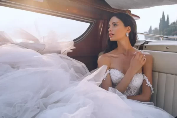 Aslan Burcu