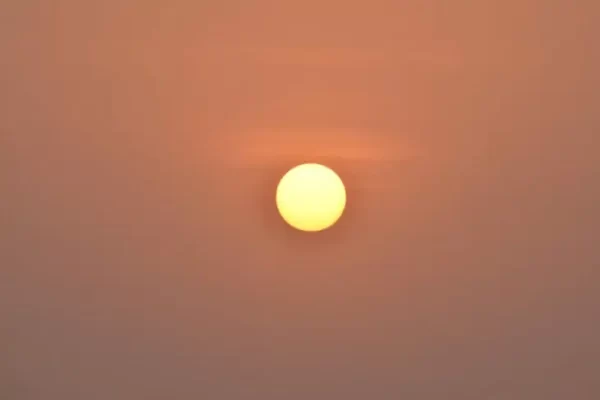 Aslan Burcu