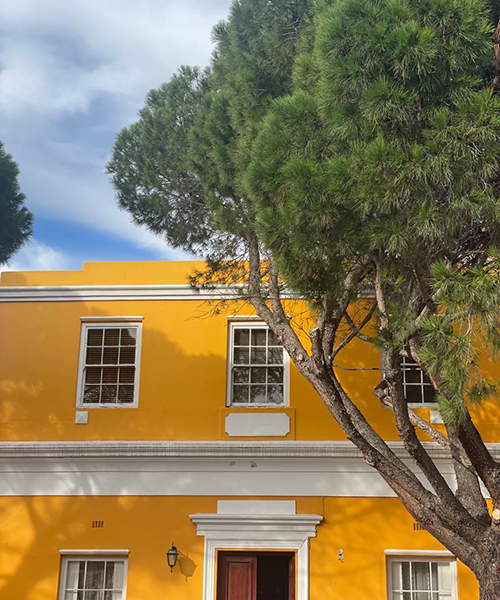 Cape Town'da İyi Yaşamın Sırlarının İzinde
