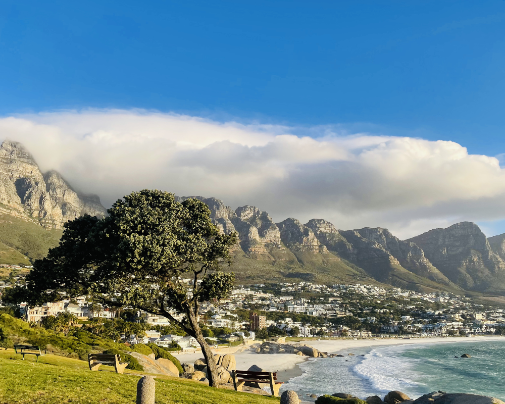 Büyük bir ağacın ve bankların yer aldığı yemyeşil bir tepeden görünen Cape Town'da, bembeyaz kumlu plajı, turkuaz denizi ve kıyı şeridine yayılan beyaz binalarıyla büyüleyici şehir manzarası, zirveleri bulutlarla sarılmış heybetli dağların altında masmavi gökyüzüyle birleşiyor.