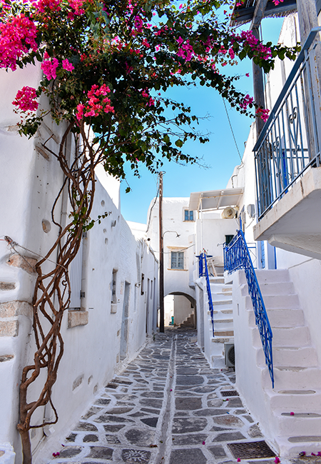 Paros'un daracık, bembeyaz badanalı evlerinin sıralandığı, zemini taş döşeli ve sağdaki merdiven korkulukları gibi mavi detaylara sahip sokağında, duvarlardan aşağı sarkan fuşya rengi begonvil çiçekleri bu seyahat rehberi için adanın büyüleyici atmosferini canlı bir şekilde yansıtıyor.