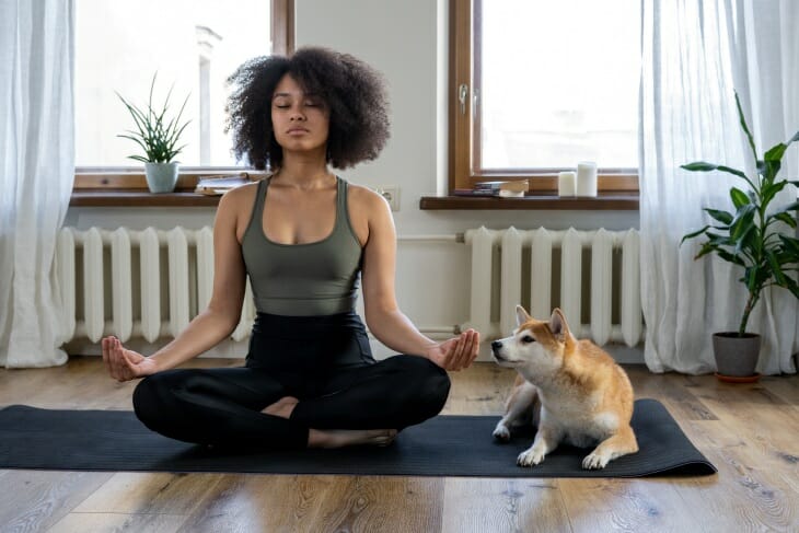 Kıvırcık saçlı, koyu tenli bir kadın, güneşli bir odada yoga matı üzerinde gözleri kapalı bir şekilde meditasyon yaparken, yanında açık kahverengi bir köpek huzur içinde uzanıyor; bu görüntü, evden çalışırken verimli olmanın ve içsel dengeyi sağlamanın yollarını arayanlar için sakin bir ortamın önemini yansıtıyor.