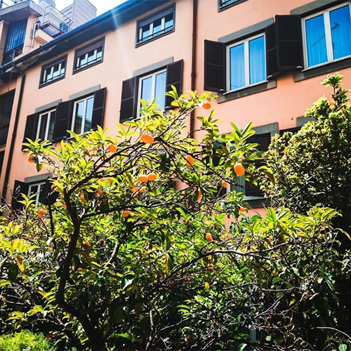 Marka Adı: Hotel Dei Borgognoni
Ürün Adı: Hotel Dei Borgognoni
Ürün Cinsiyeti: Belirtilmemiş
Ürün Tipi: Otel
Ürün Sezonsallığı: Tüm sezonlar
Ürün Çeşidi: Konaklama tesisi
Ürün Özellikleri: Roma'nın kalbinde yer alan Hotel Dei Borgognoni, şirin ve konforlu yapısıyla öne çıkar. İç mimarisi dikkat çekici detaylara sahip olup, yemek salonları ve bekleme alanlarının her köşesi fotoğraf çekmeye değer estetik bir atmosfer sunar. Açık renkli cephesi ve geleneksel koyu renk panjurlu pencereleriyle şehir dokusuna uyum sağlarken, otelin bahçesinde veya ön kısmında görünen bol meyveli yemyeşil ağaçlar doğal bir cazibe katmaktadır. İspanyol Merdivenleri'ne sadece beş dakikalık yürüme mesafesinde olmasıyla misafirlerine merkezi bir konaklama avantajı sunar.
Öne Çıkan Detaylar:
- Roma'nın merkezinde, İspanyol Merdivenleri'ne 5 dakikalık yürüme mesafesinde stratejik konum.
- Her köşesi fotoğraf çekmeye değer, şık ve estetik detaylara sahip iç mimari.
- Konforlu ve şirin atmosferiyle misafirlere keyifli bir Roma deneyimi sunar.
Kimler Kullanıyor?: Şehrin merkezinde, estetik ve konforlu bir konaklama arayan gezginler, iç mimarisiyle dikkat çeken, her köşesi fotoğraf çekmeye değer mekanları tercih edenler, Roma'nın ikonik yerlerine kolayca ulaşmak isteyenler ve seyahatlerinde huzurlu ve şirin bir ortamda konaklamayı önemseyenler bu oteli tercih edebilirler.