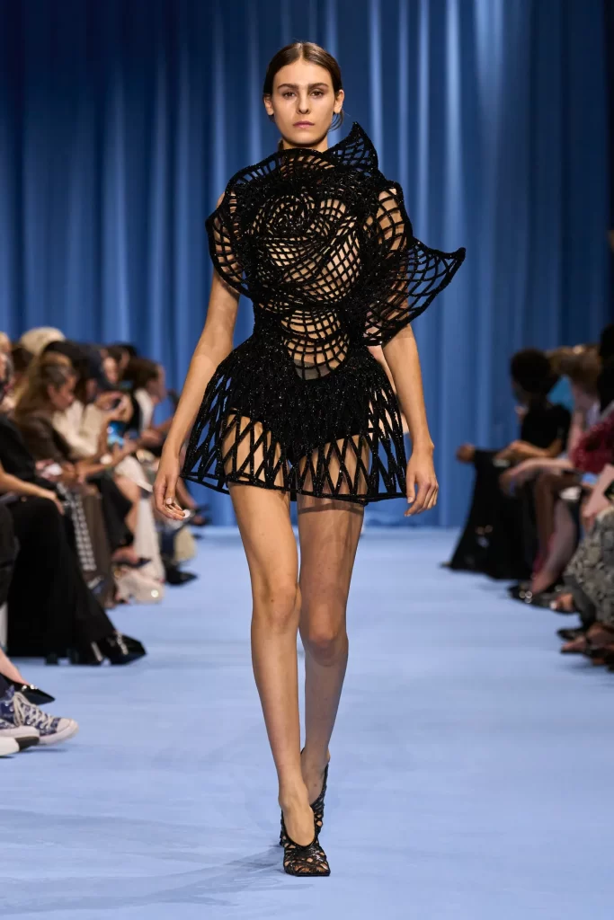 2024 İlkbahar Yaz Paris Moda Haftası Koleksiyonları