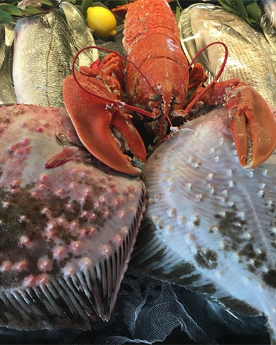 Sur Balık Cihangir’de deniz ürünleri ve meze servisi.