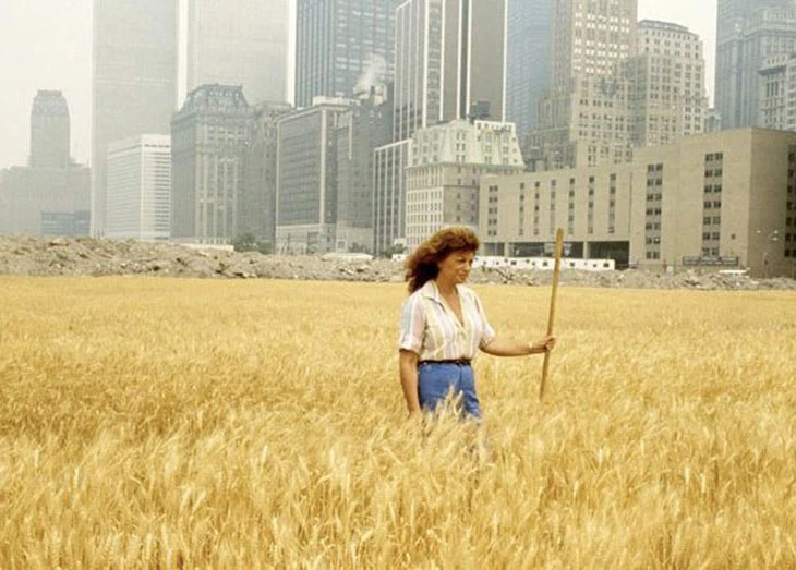 Agnes Denes’in 1982 tarihli “Wheatfield – A Confrontation” arazi sanatı eseri, Manhattan’da buğday tarlası yerleştirmesi