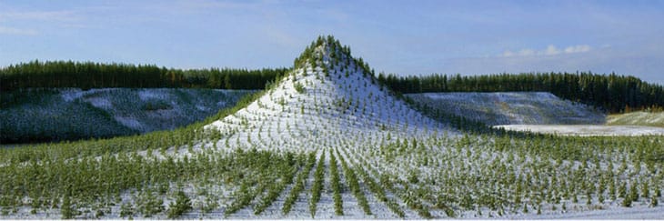 Agnes Denes’in 1996 tarihli “Tree Mountain – A Living Time Capsule” arazi sanatı çalışması, batı Finlandiya’da ağaçlarla oluşturulmuş monumental peyzaj projesi